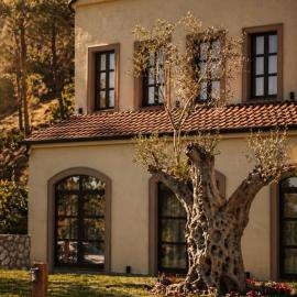 Mugull Agrotourism Hotel, hotell i Tirana