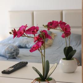 Milla Luxury Apartment