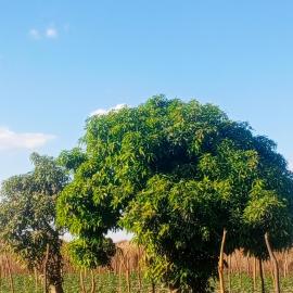 Hope Lodge Kabwe, hotell i Kabwe
