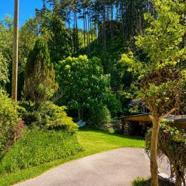 Ferienwohnung im Triberger Schwarzwaldhaus - Haustiere willkommen