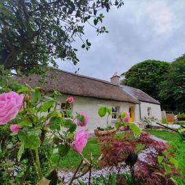 The Thatched Cottage, hotel in Cork