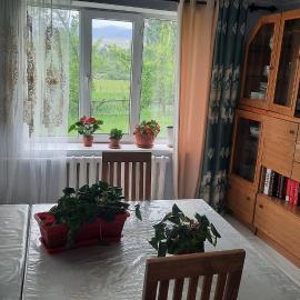 Guest House Altyn Balyk, hotel a Karatëbë