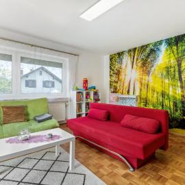 Fewo Lusen bis 6 Personen Bergblick, hotel a Frauenau