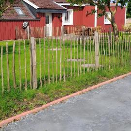 Möwennest Dornum