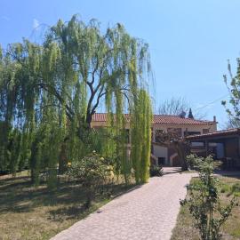 Το Σπίτι Της Κλαίουσας House Of Weeping Willow