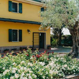Villa nel Verde - Camera con bagno privato - vicino INAIL e FIERE - Via Erbosa 1B