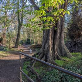 Woodside, near Edinburgh, hotell i Longniddry