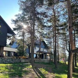 Vila Plamenac, hotel v Divčibarah