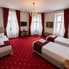 Hotel Viki
