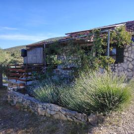 House Soline