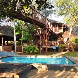 Bona Ngwenya Lodge & Safaris