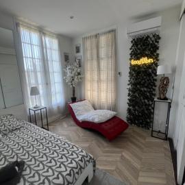 Appartement atypique climatisé vue mer parking