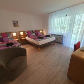 Haus Schanzenblick Gästezimmer8 für 3 Personen mit Bad und Terrasse, hotel in Schonach
