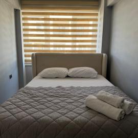 Zeus Suit Bursa, hotell sihtkohas Nilüfer