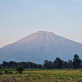 Mama Marys House - Homestay, hotel in Arusha