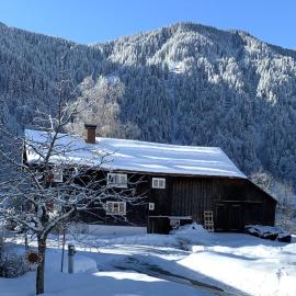 Bühelhus