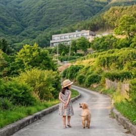Sara&Forest Pension Mungyeong, hotel a Mungyeong