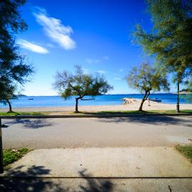 Mobile Homes Punta