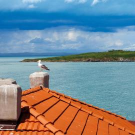 Къща за гости Сирената, hotel in Sozopol