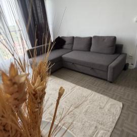 Grand Appartement Proche Orly & Paris