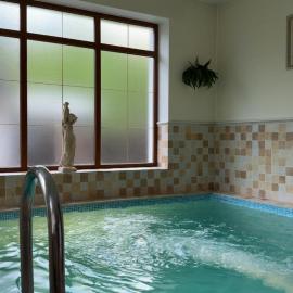 Guests house with amazing pool and sauna, hotel in Babīte