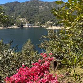 Lake House Gerês