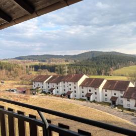 Genussvolle Entspannte Auszeit I Balkon I Burgblick, hotel em Regen