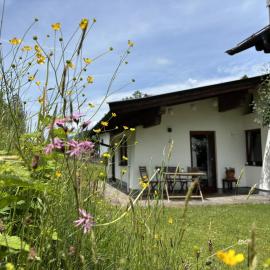 Bergnest Fieberbrunn