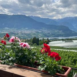 Casa Borghesi - Appartamenti vista lago e Dolomiti, hotelli kohteessa Coredo