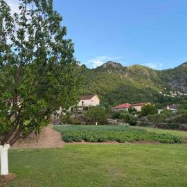Guesthouse Feel Lake, hotel in Virpazar