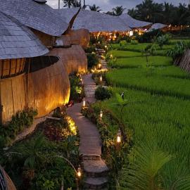 Green Lander Ubud