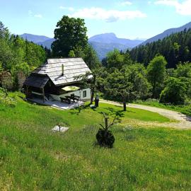 Natur pur Pikovo โรงแรมในČrna na Koroškem