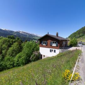 Churfirstenblick