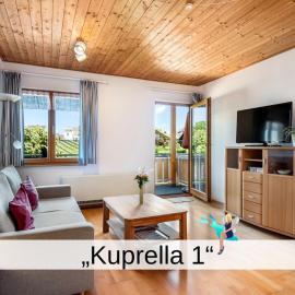 Ferienwohnung Kuprella 1 - mit Garten und privatem Seezugang in Nonnenhorn, hotel in Nonnenhorn