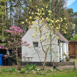 Tiny house im Wingster Forst, hotel en Wingst