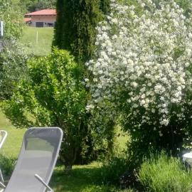 Apartma Deni