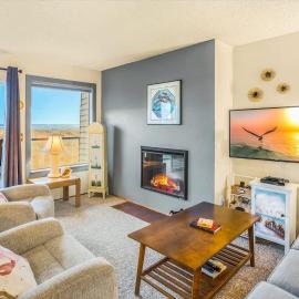 Hi-Tide Resort Fireplace Dogs OK Unit 14, hotel in Moclips
