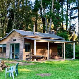 Cabin in the Forest, Cosy Couples retreat, hôtel à Tanybryn