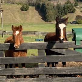Taupo s best lifestyle vacation