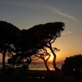Ibis Budget Hyères, готель в Єрі