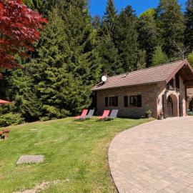 Gîte dans les Vosges - 4 pers. - FR-1-589-862, hotel in Le Tholy