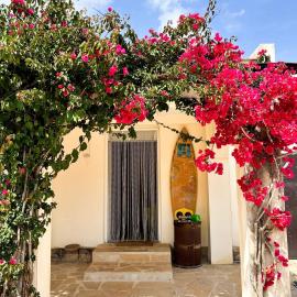 Finca Tivissa