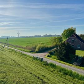 Goldene Linie