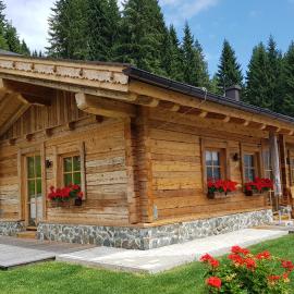 Almhütte Eibingalm