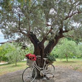 COLLINA FIORITA, hotell i Tollo