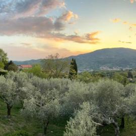 Oasi della Calvana