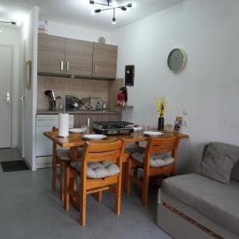 Location duplex avec balcon vue sur montagne, hotel Gresse-en-Vercors-ban