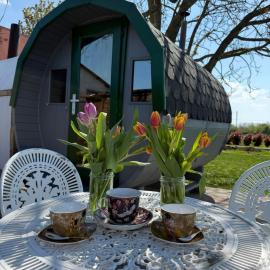 Vitez Guesthouse Siofok - detached house with yard and Sauna