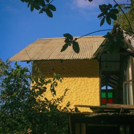 Manigua Andina