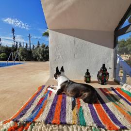 Villa Alexandra Nomade, hotel a Ounara